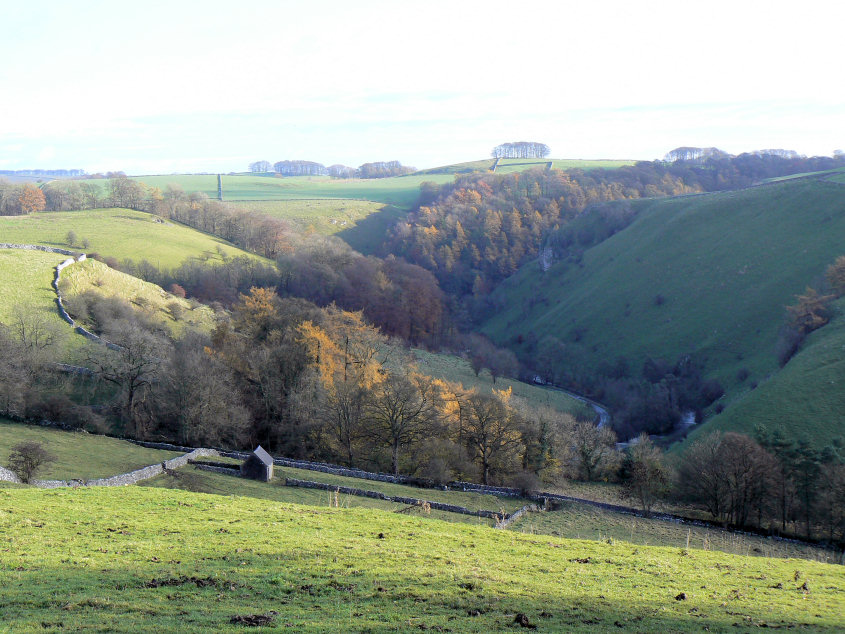 Mill Dale Mill Dale